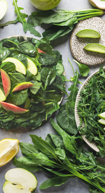 Future_Salad_Banner_125e8dab-f197-4767-9d6e-376fd2f03594 (1)